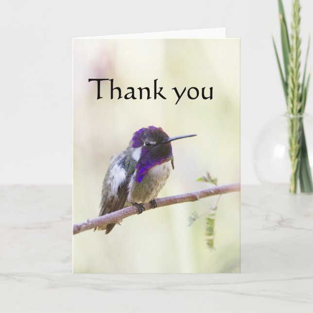 Costas Perched på en gren, tacka dig Tack Kort (Framsida)