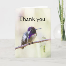 Costas Perched på en gren, tacka dig Tack Kort