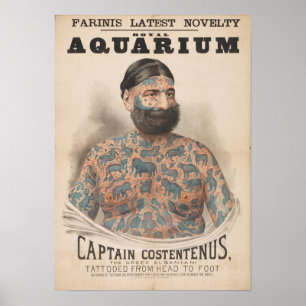Costentenus för Farinis kunglig akvariumkapten Poster