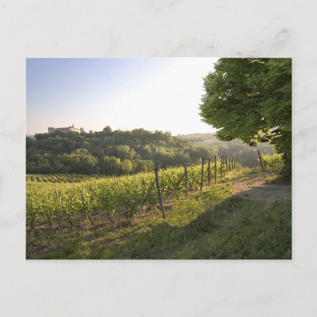 Costigliole d'Asti , Piemonte, Italien Vykort (Framsida)