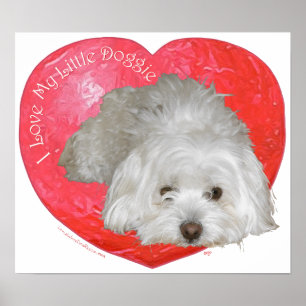 Coton de Tulear Alla hjärtans dag Poster