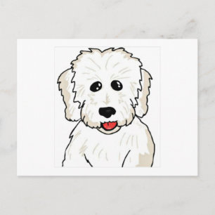 Coton de Tulear Caricature Vykort