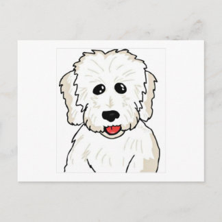 Coton de Tulear Caricature Vykort