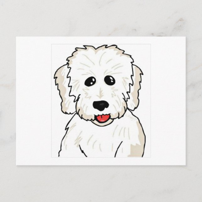 Coton de Tulear Caricature Vykort (Framsida)