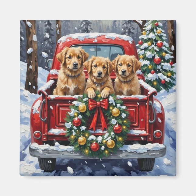 Coton de Tulear Christmas Red Truck Holiday Magnet (Framsidan)