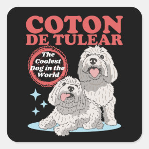 Coton de Tulear Coolest Hund   Koton Tulears Fyrkantigt Klistermärke