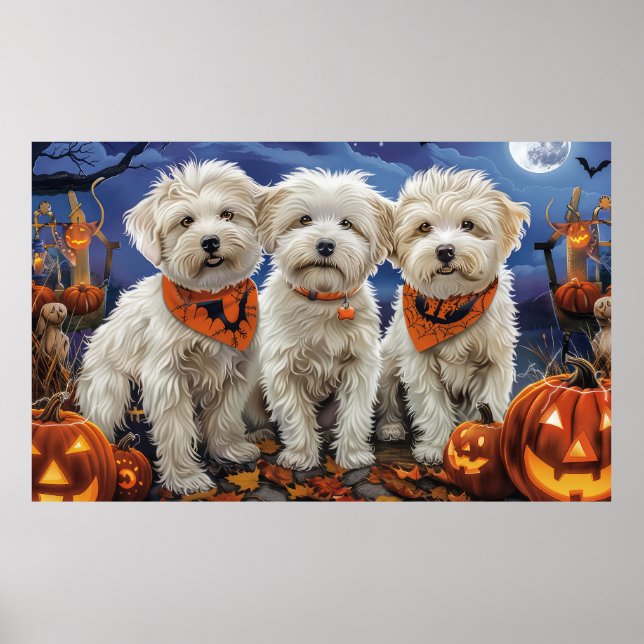 Coton De Tulear Halloween Kuslig Poster (Framsidan)