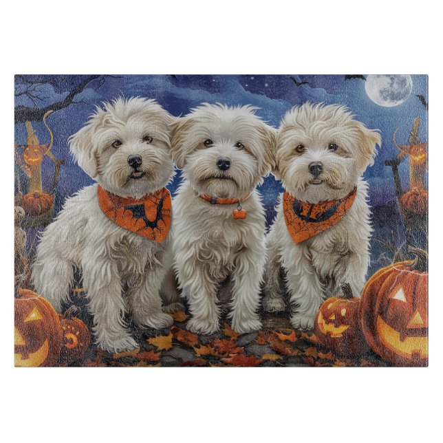 Coton De Tulear Halloween Spooky (Framsidan)