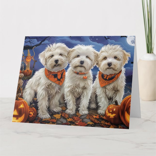 Coton De Tulear Halloween Spooky Kort (Framsida)