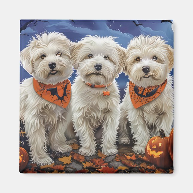 Coton De Tulear Halloween Spooky Magnet (Framsidan)