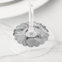 Coton de Tulear hund