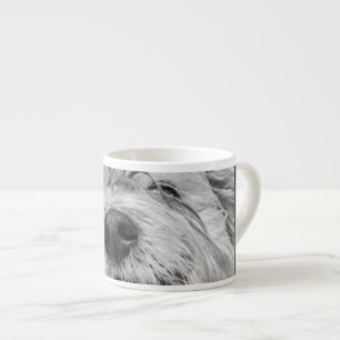 Coton de Tulear hund Espressomugg