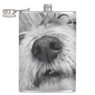 Coton de Tulear hund Fickplunta