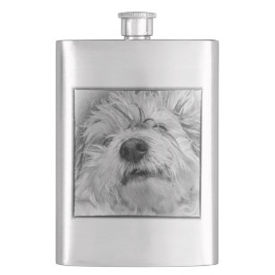 Coton de Tulear hund Fickplunta