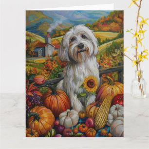 Coton De Tulear Hund Höstskörd Thanksgiving Kort