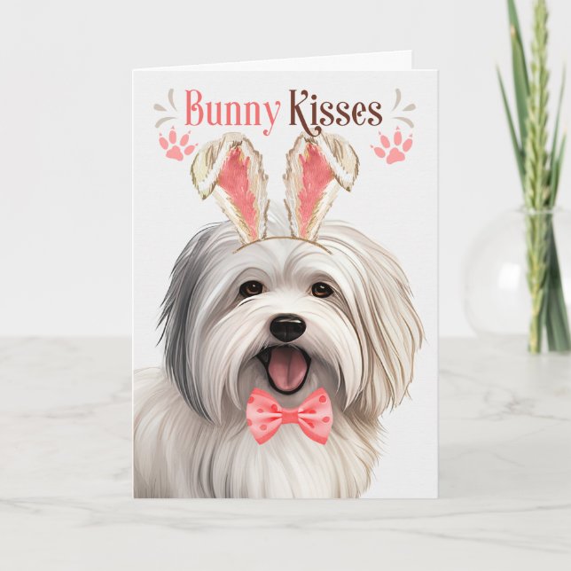 Coton de Tulear Hund i Bunny Öron för Påsk Helgkort (Framsida)