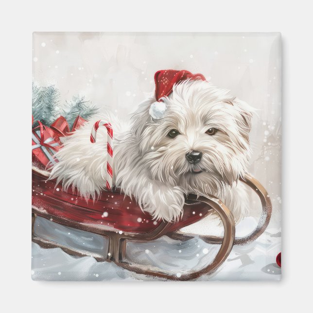 Coton De Tulear Hund Julfirande Magnet (Framsidan)