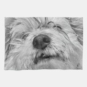 Coton de Tulear hund Kökshandduk