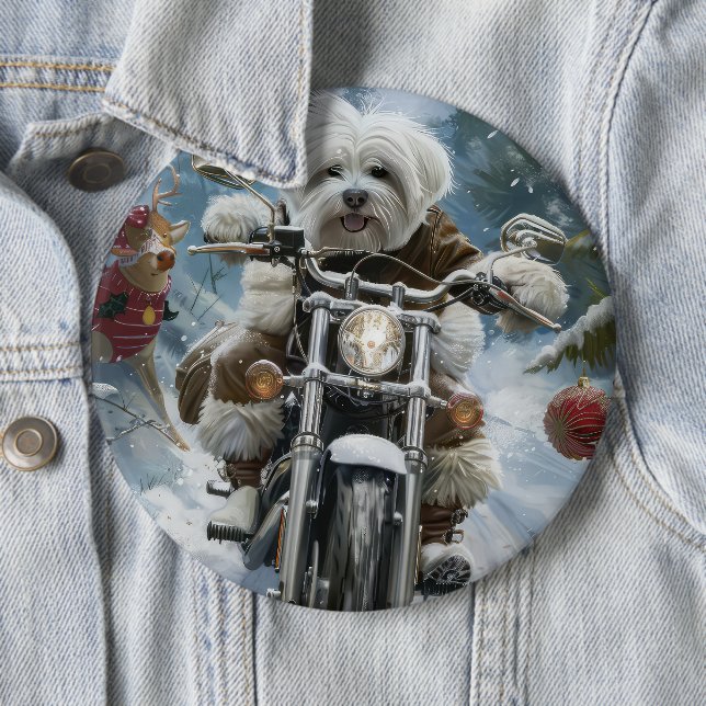 Coton De Tulear Hund Kör Motorcykel Jul  Knapp (In Situ)