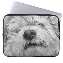 Coton de Tulear hund Laptop Fodral