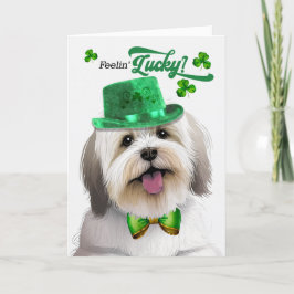 Coton de Tulear Hund Lucky St patrick's day Helgkort