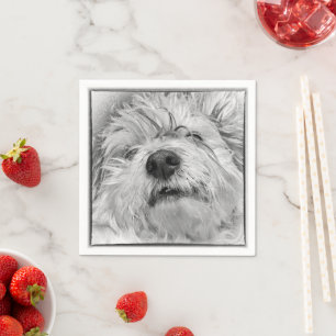 Coton de Tulear hund Pappersservett