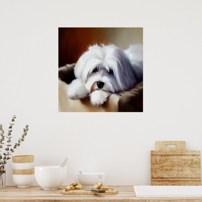 Coton de Tulear Hund Poster (Kök)