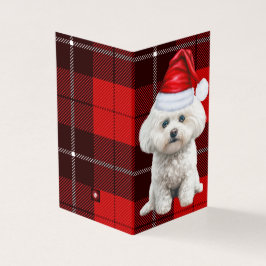 Coton de Tulear Hund Red Helgdag Play Kort