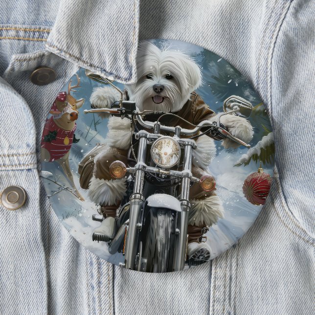 Coton De Tulear Hund Riding Motorcle jul Knapp (In Situ)