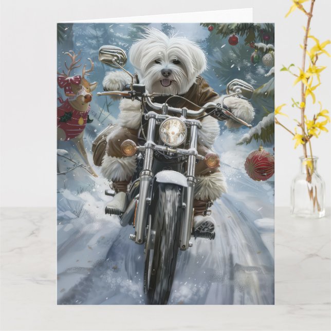 Coton De Tulear Hund Riding Motorcle jul Kort (Gul blomma)