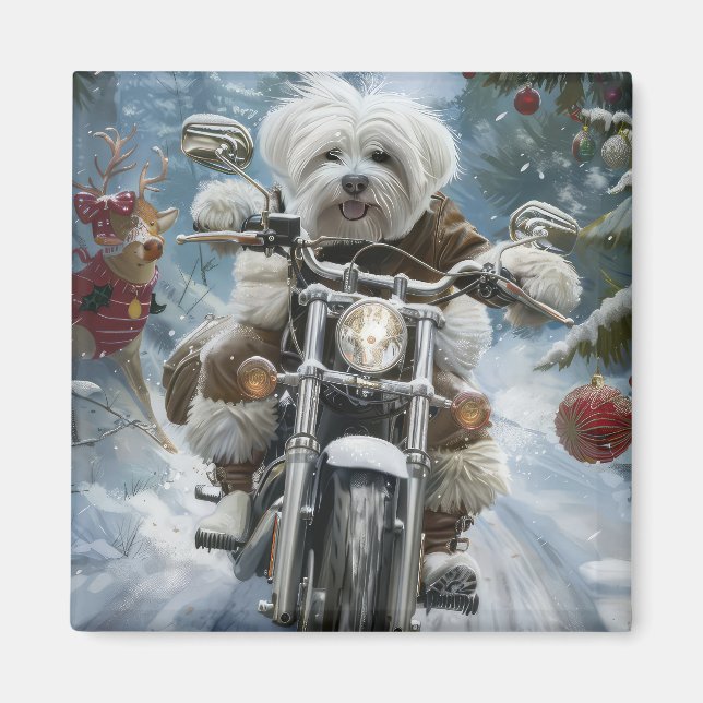 Coton De Tulear Hund Riding Motorcle jul Magnet (Framsidan)
