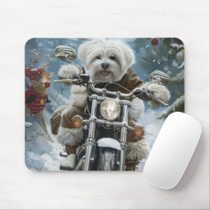 Coton De Tulear Hund Riding Motorcle jul Musmatta