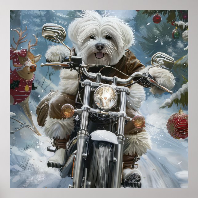 Coton De Tulear Hund Riding Motorcle jul Poster (Framsidan)