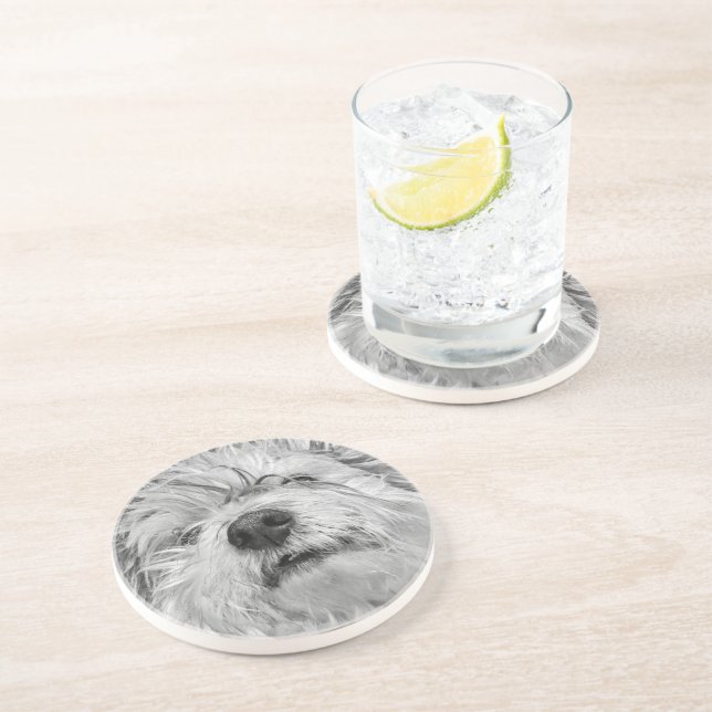 Coton de Tulear hund Underlägg (Sidan)