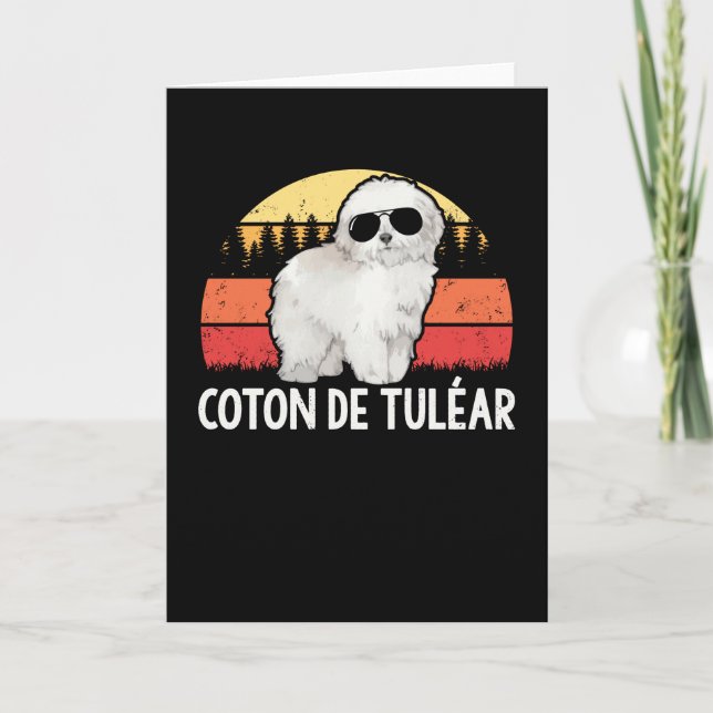 Coton de Tulear | Hundägare Coton de Tuléar Kort (Framsida)