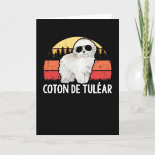 Coton de Tulear Hundägare Coton de Tuléar Kort