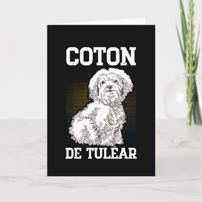Coton de Tuléar | Hundägare Coton de Tulears Kort (Framsida)