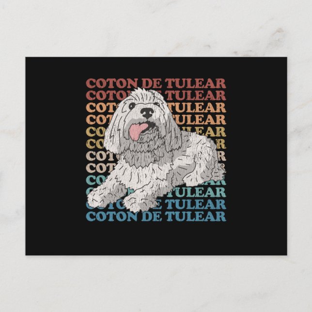 Coton de Tulear | Hundägare Coton de Tulears Vykort (Framsida)