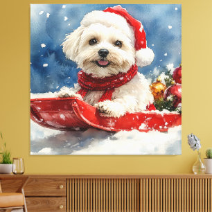 Coton De Tulear i släde Låt det snöa jul Canvastryck