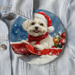 Coton De Tulear i släde Låt det snöa jul Knapp