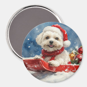 Coton De Tulear i släde Låt det snöa jul Magnet