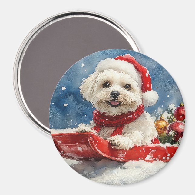 Coton De Tulear i släde Låt det snöa jul Magnet (Front/Back)