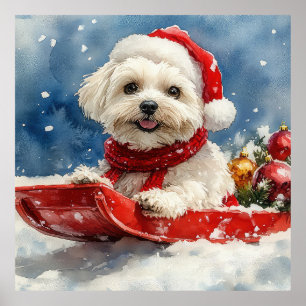 Coton De Tulear i släde Låt det snöa jul Poster
