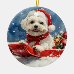 Coton De Tulear i Sledge Låt det snöa jul Julgransprydnad Keramik