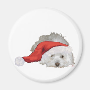 Coton de Tulear - I väntan Magnet