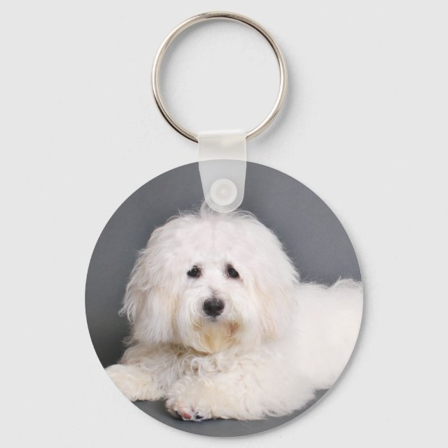 Coton de Tulear - Joci Nyckelring (Framsida)