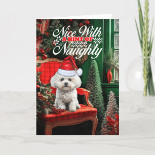 Coton de Tulear jul Hund Naughty Nice Helgkort