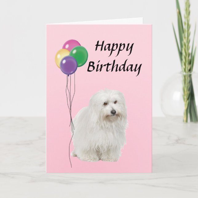 Coton De Tulear med Balloons Grattis på födelsedag Kort (Framsida)