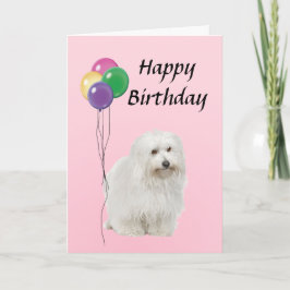 Coton De Tulear med Balloons Grattis på födelsedag Kort