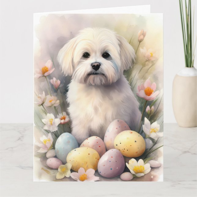 Coton De Tulear med påskägg semester Kort (Framsida)
